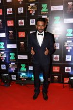 at Red Carpet Of Zee Cine Awards 2017 on 12th March 2017